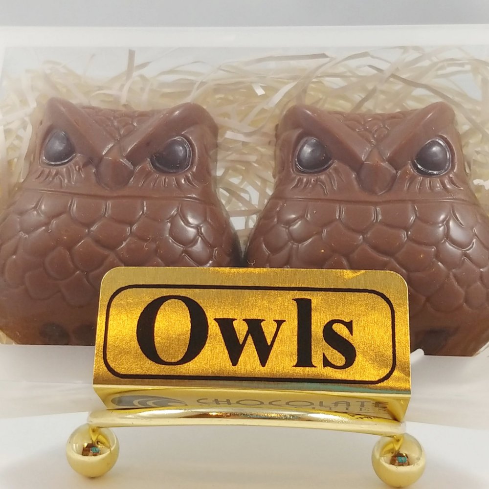 Owl Box Milk Chocolate by Chocolate Necessities | Chocolate Necessities